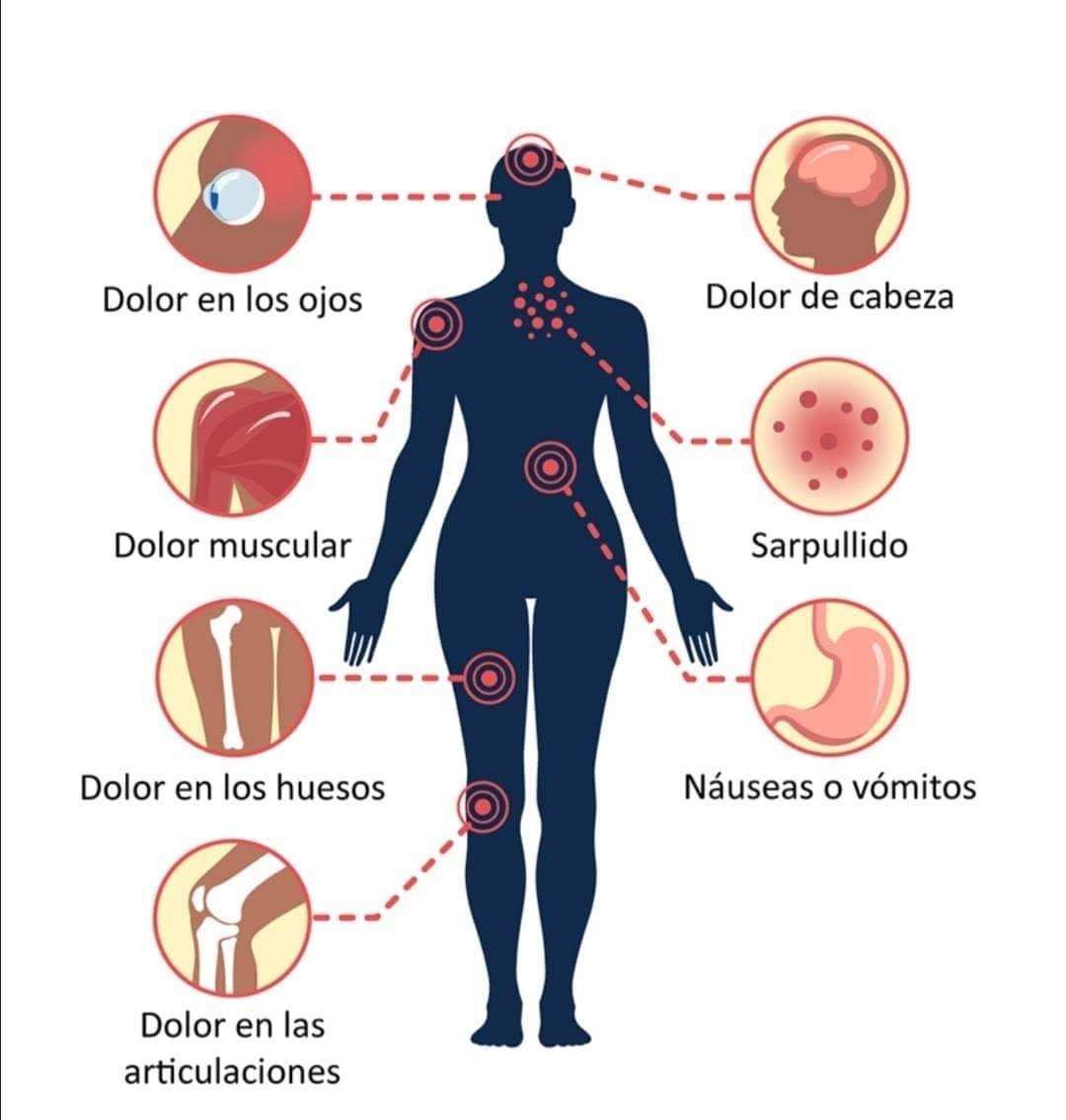 imagen dengue